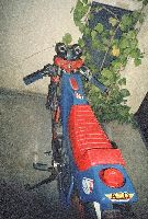 cliquez ici pour voir l'image (Testi CSV-002-R.JPG)